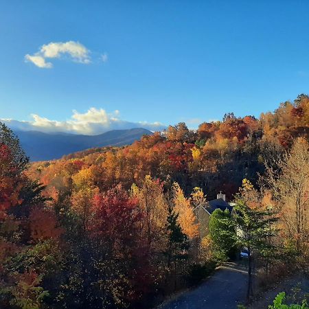 3 Decks, Mtn Views! Tree Tops By Honeybearcabins - Luxury Rain Showers, 3 King Suites, Xl Hottub, Fireplace, Bear Sightings แกตลิงเบิร์ก ภายนอก รูปภาพ