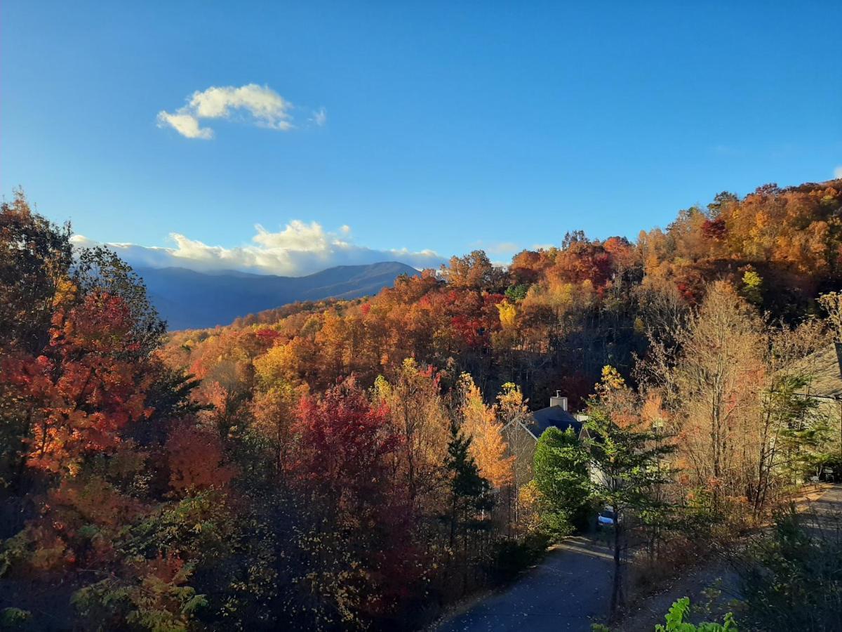 3 Decks, Mtn Views! Tree Tops By Honeybearcabins - Luxury Rain Showers, 3 King Suites, Xl Hottub, Fireplace, Bear Sightings แกตลิงเบิร์ก ภายนอก รูปภาพ